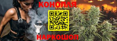амф Севастополь