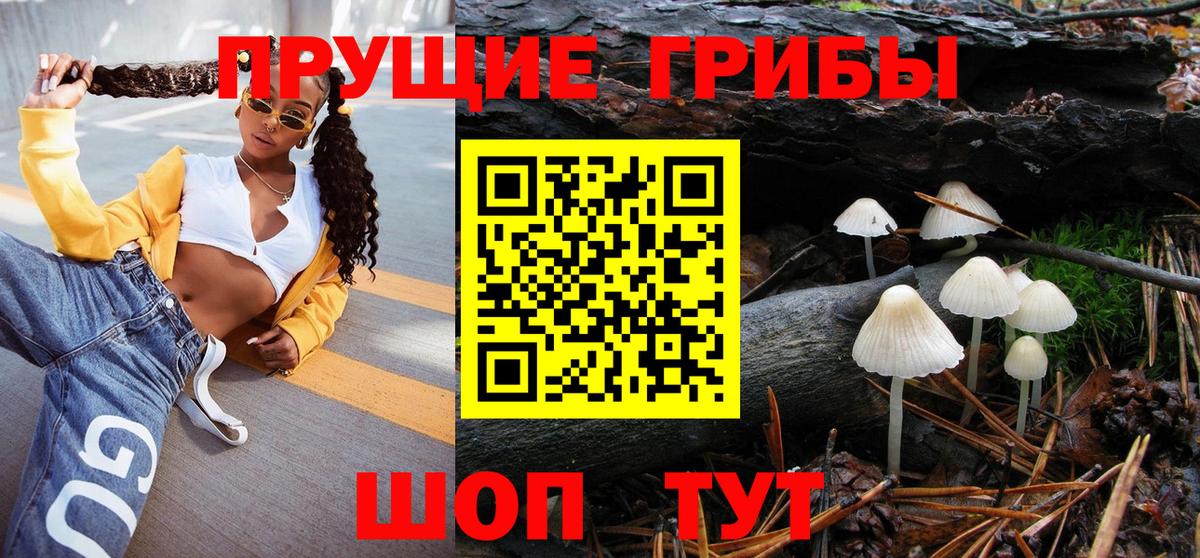 Псилоцибиновые грибы GOLDEN TEACHER  Псилоцибиновые грибы мухоморы  Ростов-на-Дону  Вход с VPN 