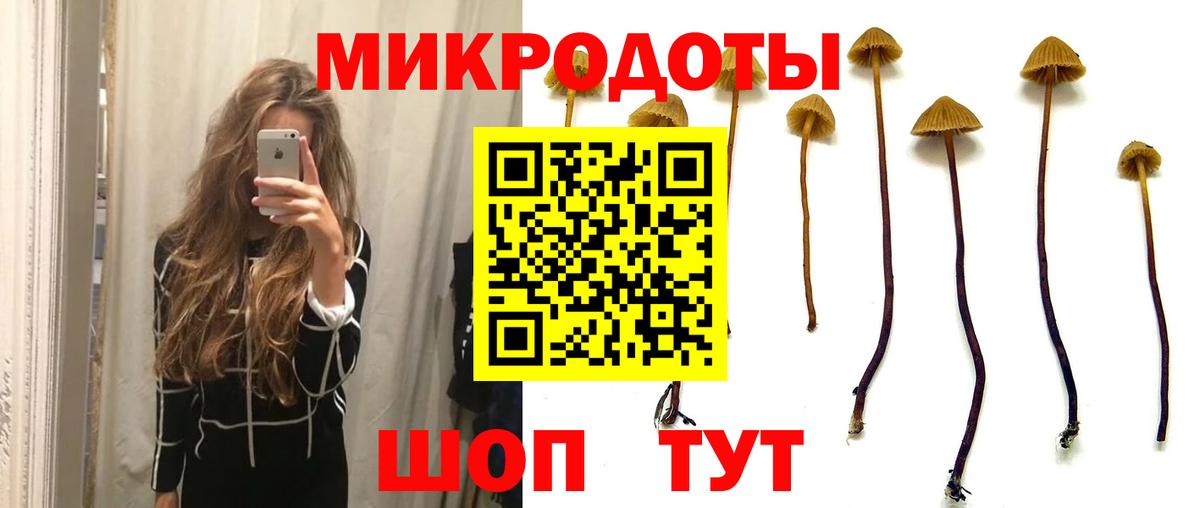 Псилоцибиновые грибы GOLDEN TEACHER Ростов-на-Дону